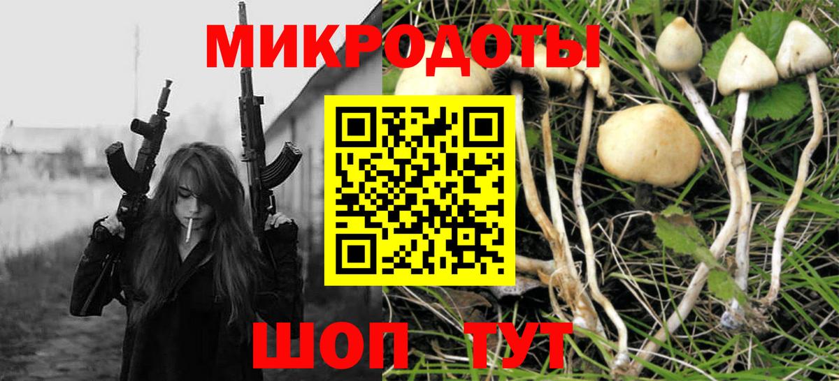 Мурино  Псилоцибиновые грибы MAGIC MUSHROOMS  Псилоцибиновые грибы Magic Shrooms  Вход с VPN 